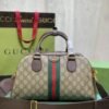 GUCCI GG OPHIDIA BOWLING (2)